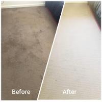 Best Reviews Carpet Cleaning & Pest Control image 1